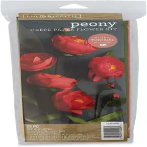 크리에이티비티 스트리트 크레페 종이 꽃 키트모란