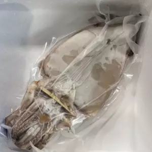 피데기 반건조 오징어 10미