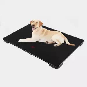 대형견 체중계 반려동물 대형 몸무게 애견 측정기