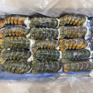 캐나다 랍스터 테일 1미(110~140g) 랍스타 꼬리