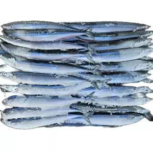 냉동꽁치 1번(9.2kg70미전후) 3번(9.966kg100미전후) 선택 식당용 구이용 낚시용