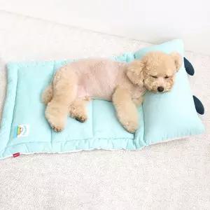 JMds 패리스독 스누피 낮잠베드 (블루)