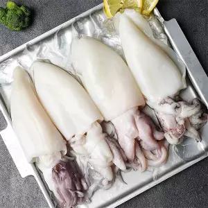 손질 통 갑오징어 200g 2팩 소