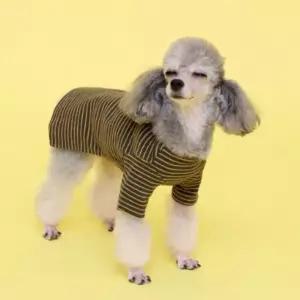 강아지 스트라이프 사계절 의류 반려견 포시즌 옷애나시 애여름패션 티셔츠 애티셔츠 민소매 펫나시
