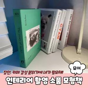 사무용품 인테리어 촬영 소품 가짜 모형책 모어