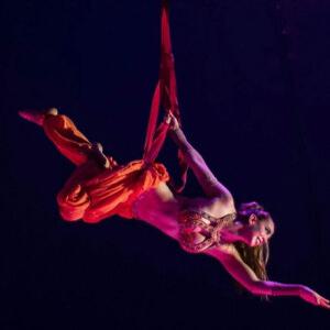 신규오픈! 슈퍼 아메리칸 서커스 (괌)