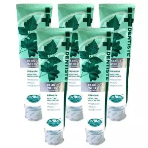 덴티스테 플러스 화이트 프로 (불소 1000ppm) 치약 160g x5개