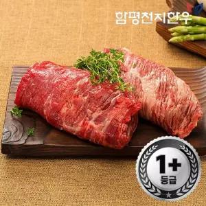 갤러리아 [함평축협] 함평천지한우 양지 600g(1+등급)