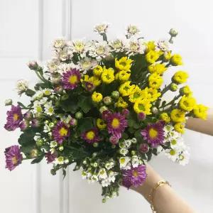 (플라워마켓) 소국 혼합 세트 양재꽃시장 생화 배달 꽃 정기구독