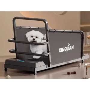 강아지런닝머신 반려견 운동기구 실내 산책 강아지훈련