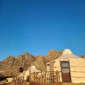 [2030전용]몽골/테렐지 4일 #현대식게르[2인1실]#설국열차체험#승마체험#로컬펍#노쇼핑#인솔자동행