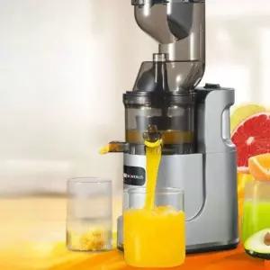 과일 쥬서기 착즙기 H430 스퀴저 위즈웰 주스 쥬스 과즙기