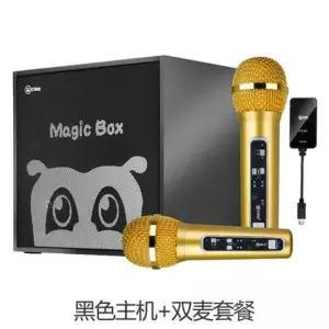 자동차 노래방 마이크 외부 노래방마이크 휴대용 무선