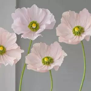 종이꽃 자이언트 페이퍼 풀세트 세트 포토존 축하 졸업식 입학식 플라워 행사 조화 소품