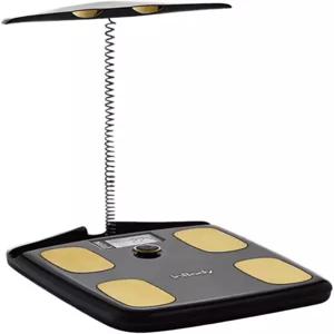 인바디 다이얼 H20 체성분 척도가 가장 정확함 BMI 체지방 근육량이 포함된 스마트 척도 및 근육이 체중