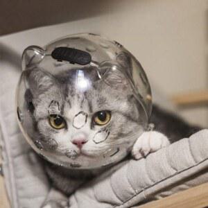 안면 얼굴보호 보호구 커버 투명 손톱깎이 모자 헤드 후드