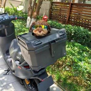 36L/45L/57L/70L 오토바이 트렁크 대용량 수하물 보관함 스쿠터 박스 탑 케이스 방수 통기성 애완 동물 상자