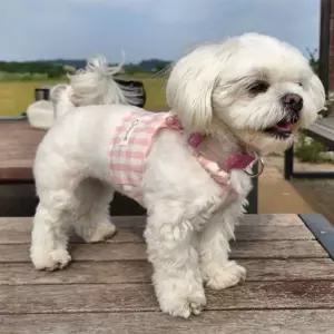 체크 오가닉 핑크애완견옷 강아지의류 애견 반려견 애견티 나시 민소매 프릴 강아지