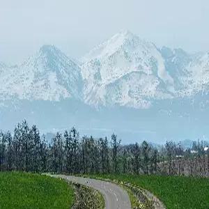 [출발확정] [닷컴전용]홋카이도 4일 #눈송이눈꽃가득 #후라노+비에이 #대게무제한 #온천1박 #삿포로시내중심2박 #감성가득오타루