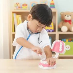 캐스B 이가빠지는 치아모형 이빨모형 양치습관 교육 치과놀이 학습 장난감 칫솔포함 어린이