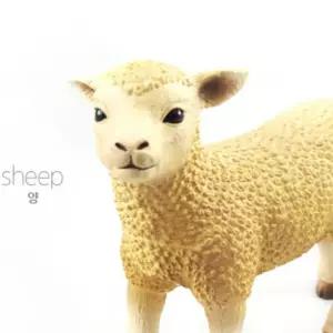 리얼 실감 양 가축 동물 모형 유아 완구 미니어처 장난감 소프트 피규어 어린이집 교육용 역할 놀이 미니어