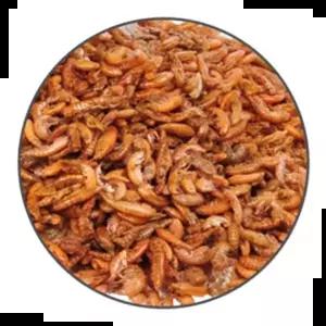 건강 거북이사료 감마루스 열대어먹이 거북이밥 30g