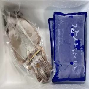 [로지프로] 구룡포 반건조 오징어 5미 350g