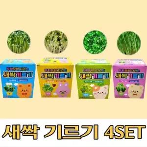 새싹기르기 심플 새싹키우기 무순+비타민+유채+보리 4 WFG8ZU5