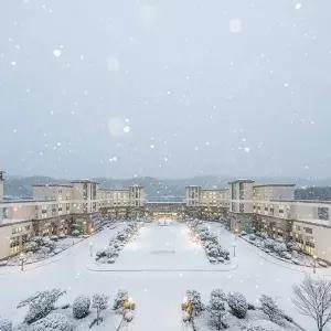 [여수] 디오션리조트 호텔&콘도 2월 조식PKG