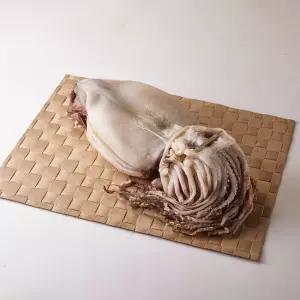 반건조 오징어 5미 10미 피데기 맥주안주