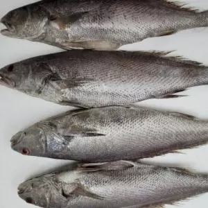 명절 선물세트 고급 반건조 민어 5미 제수용 설 설날 생선