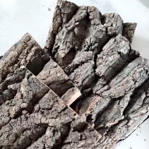 수태 뉴질랜드 조경용 난재배용 물풀 식물 5A 이끼