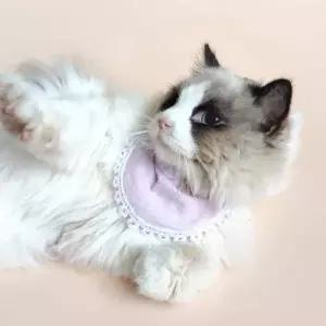 애견 애묘 턱받이 케이프 고양이 강아