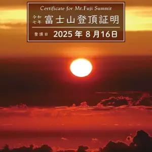 정품 휴몬트 초경량 3단 등산스틱 지팡이 MSL-500 (2개1세트) 두랄루민7075 + 스틱케이스(일반)