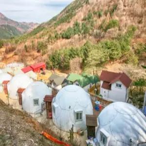 [강원 펜션] 정선 하얀돔펜션 (영월,정선)