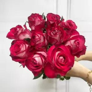 (플라워마켓) 올스타 레드 장미 5송이 양재꽃시장 생화 배달 꽃 정기구독