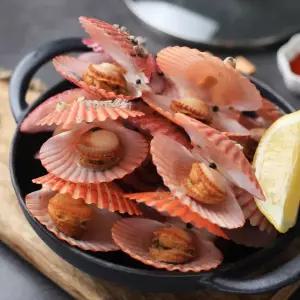 남해안 활 가리비 2kg