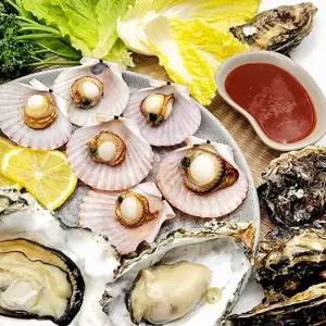 [통영수산물시장] 석화굴 5kg+홍가리비 5kg