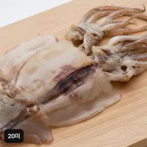 구룡포 반건조 오징어 20미 (10미X2팩)