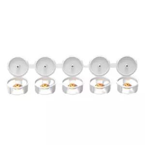 바퀴벌레약통 트레이 화이트 50개(10줄)