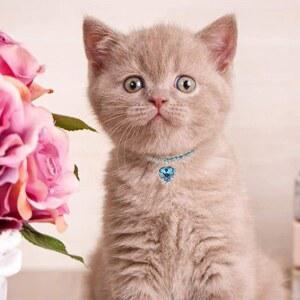 강아지 스카프 고양이 케이프 턱받이 라인석 크리스탈 펜던트 목걸이