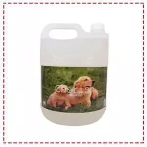 [제이프로젝]체리쉬 대용량 탈취제 4L - 파우더향 애견용품 애완용품 강아지용품 개용품 반려용품