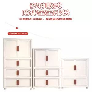 자취방 접이식 옷장 간편 장롱 수납 폴딩옷장 원룸