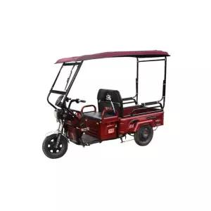 짐차 캐노피 삼발이 전기자전거 전동스쿠터 삼륜 오르막길