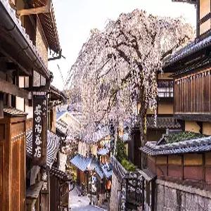 [인기여행상품/최저가찬스] 오사카/교토/고베/오츠 4일 #지금이기회 #초특가 #시가현의 비경 #신비로운절 # 우키미도 #액자정원 #금빛찬란한 #금각사