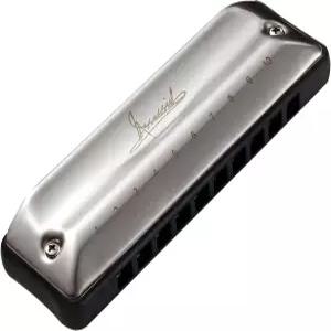 하프의 열쇠 JDR 블루스 하모니카 케이스 기타 액세서리가 있는 미니 마우스 오르간 10홀 20톤 어쌔신 코팅