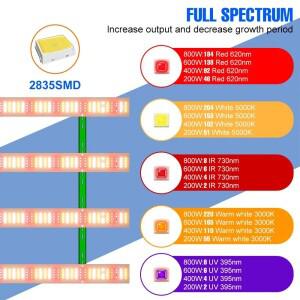 800W LED 식물 성장등 풀 스펙트럼 램프 퀀텀 보드 온실 텐트 채소 선인장 이끼 재배용
