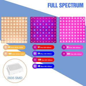 250W LED 식물 성장등 풀 스펙트럼 퀀텀 보드 실내 화분용 과일 텐트 선인장 채소용