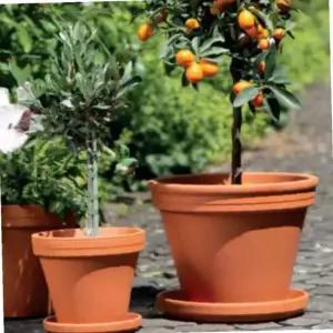 선인장토분 인테리어화분 표준형 토분 24x21cm