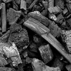 참나무 숯피10L 숯 참숯 목초액 진천참숯 바베큐숯 캠핑숯 국내산참숯